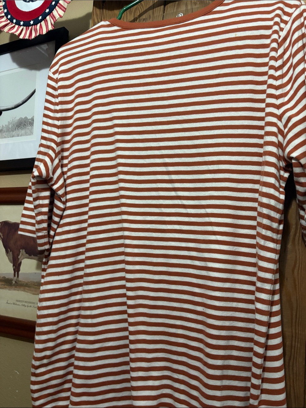 Duluth Trading Co Rust and White Striped Knit Tee - Picture 5 of 5